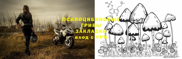 винт Богородицк