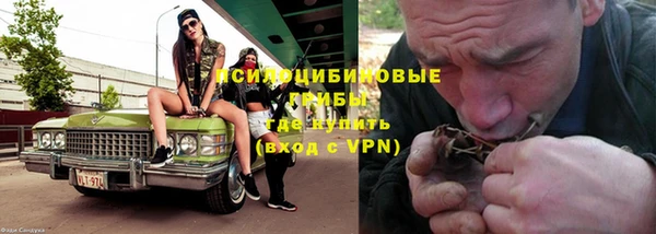 винт Богородицк