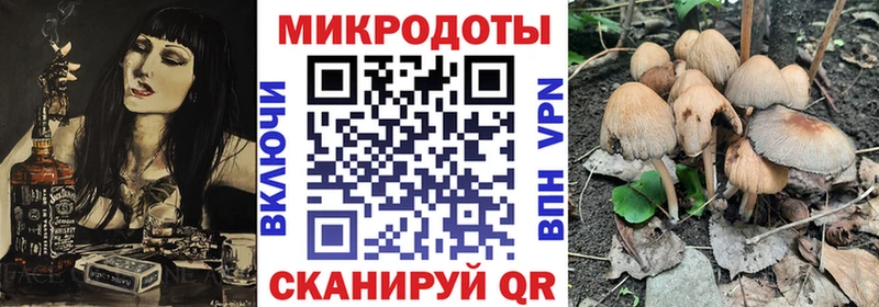 Галлюциногенные грибы прущие грибы  гидра зеркало  Гусев 